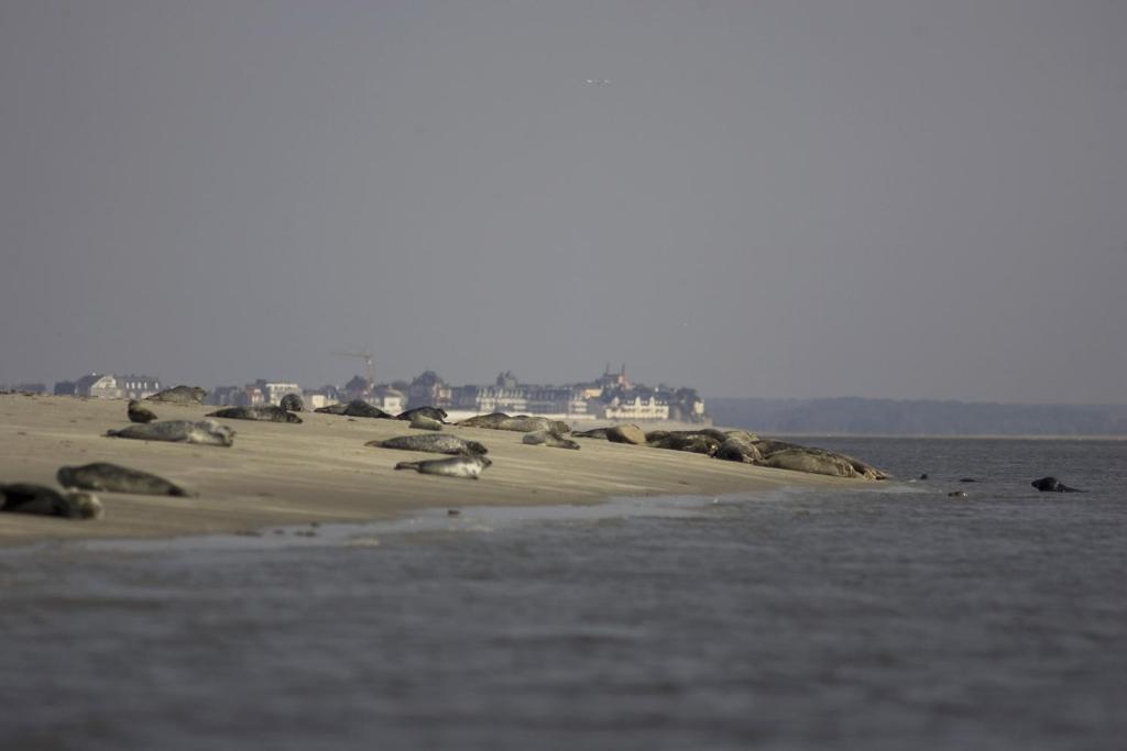 Logis Auberge De La Dune - Hotel & Restaurant لو كْروتْوَ المظهر الخارجي الصورة